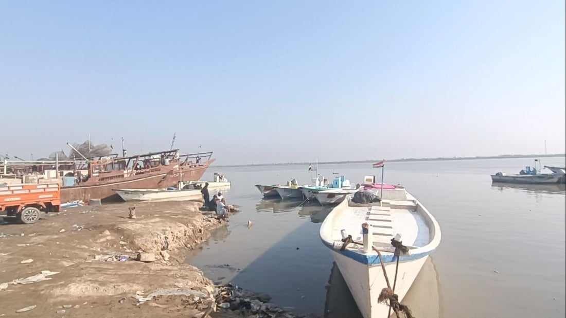 صور من مزاد الفاو: كلّ أنواع الروبيان متوفرة والزبيدي والصبور “وسط” فقط