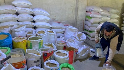 نرخی ئالیکی ئاژەڵ بەشێوەیەکی بەرچاو زیادی کردووە