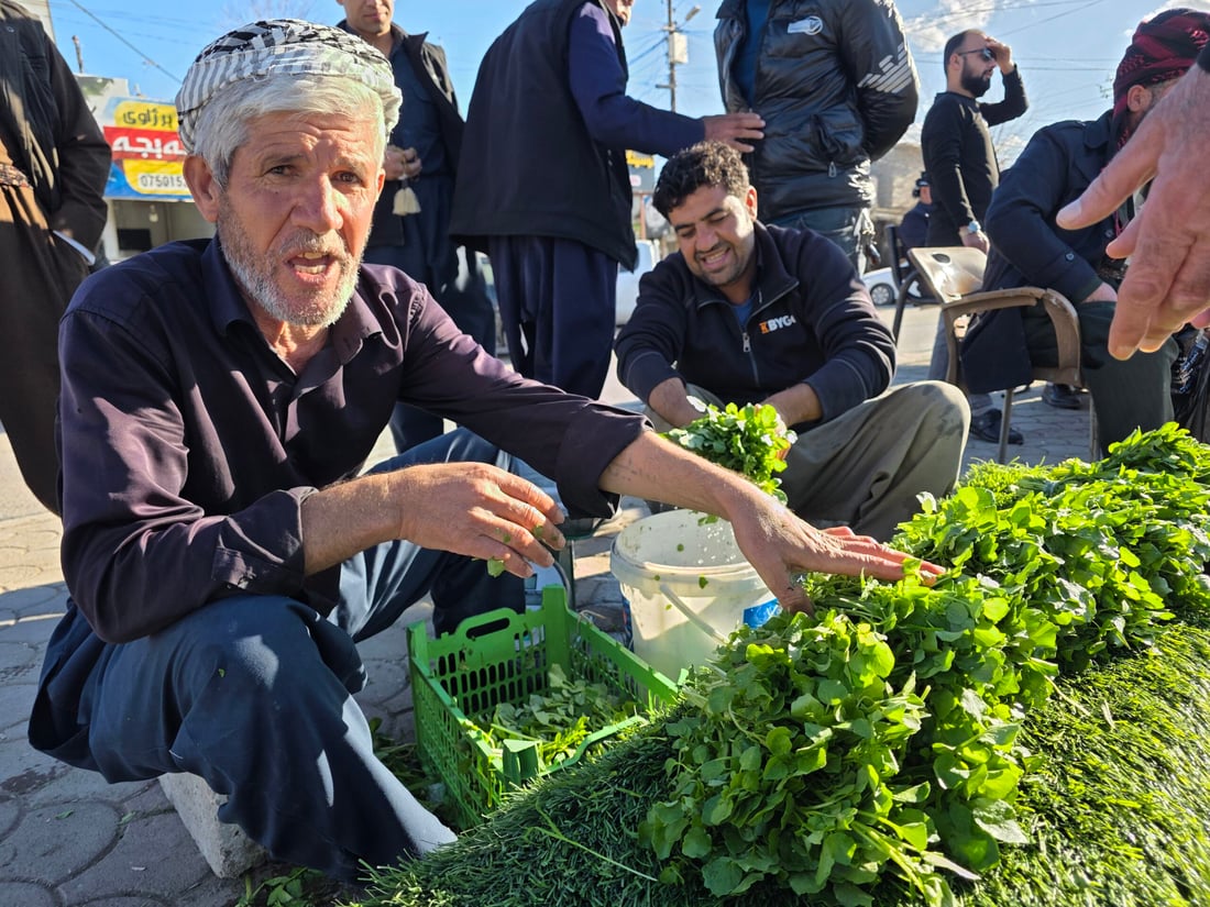 کوزەڵەکەی شارەزوور بە چوار هەزارە و بەریش ناکەوێ