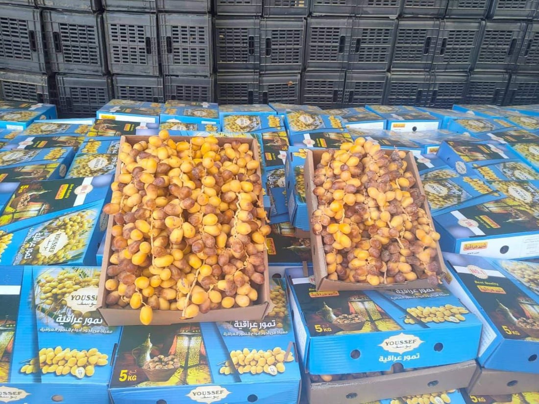ديالى: ارتفاع ملحوظ في أسعار التمور.. والمزارعون يقدمون أسبابهم (صور)
