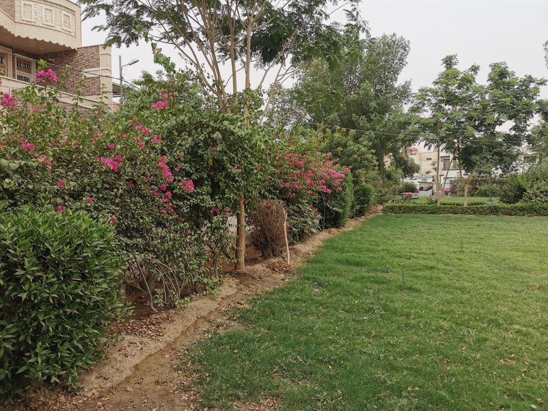 أعطى مفتاحاً لكل عائلة.. شاب كوفي ينشئ للجيران حديقة غنّاء ويحيطها بأبواب محكمة