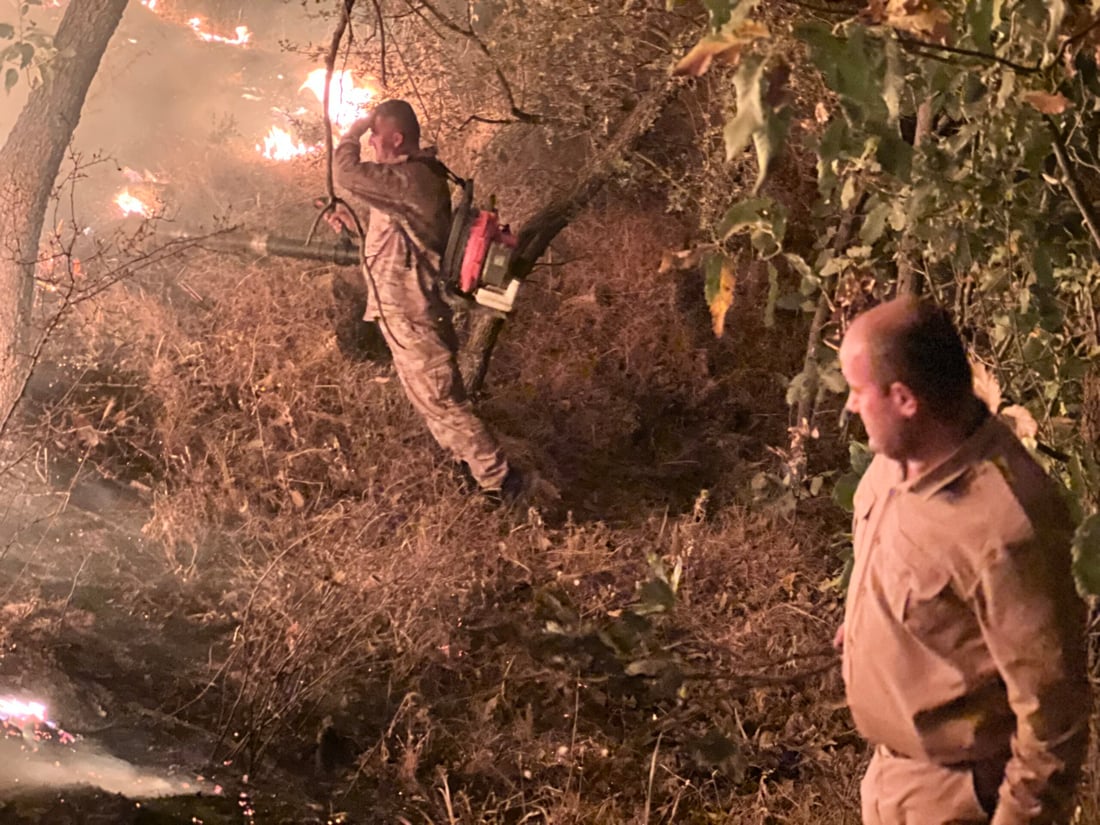 <?php echo get_the_title() ?>