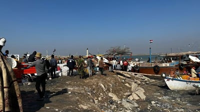 صيد وفير.. أسعار السمك في المزاد الصباحي في الفاو اليوم الاثنين (فيديو)