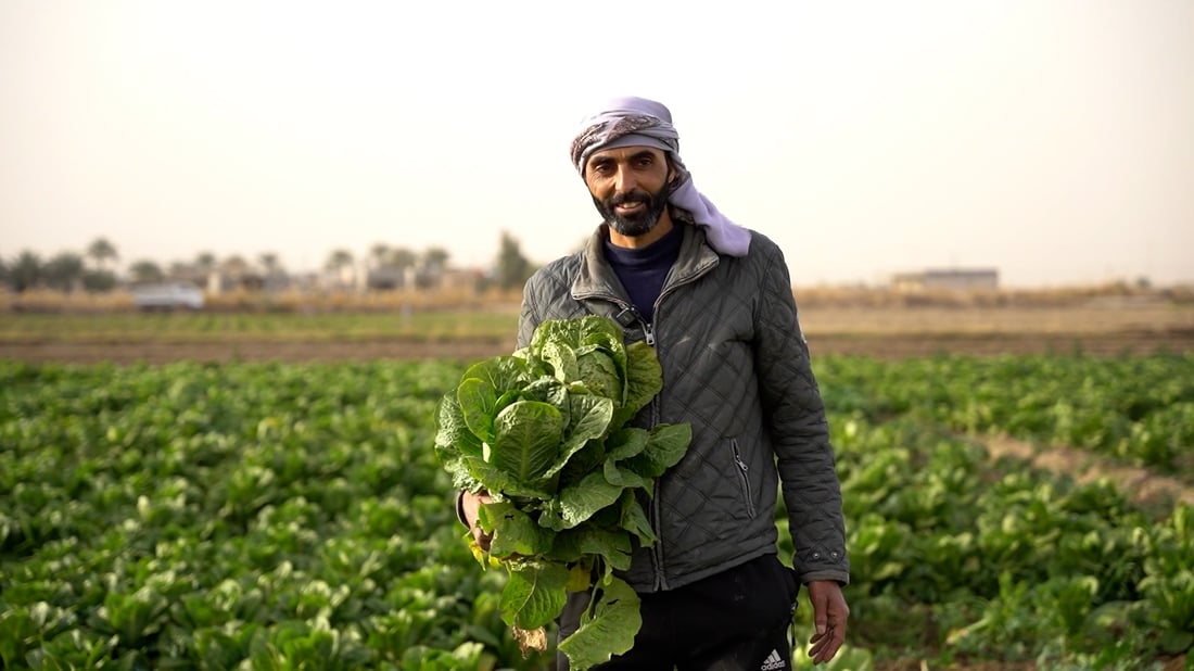 العراق يحقق الاكتفاء الذاتي من القرنبيط والخس ويمنع استيراد 46 منتجاً زراعياً