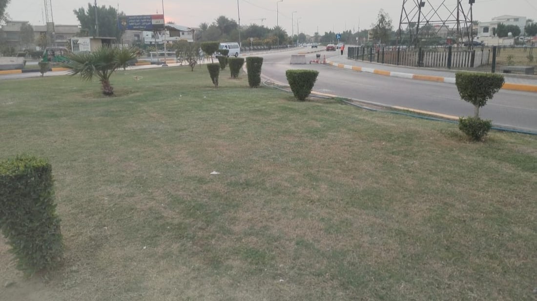 صور: 1500 شجرة ألبيزيا وداودونيا على طول شارع الضغط وسط بغداد