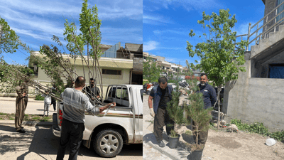 لە سلێمانی بە مەرجی خزمەتکردن و پاراستن نەمام دابەش دەکرێت