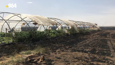 ئاگره‌كه‌ى عه‌ربه‌ت له‌ جاڕه‌گه‌نمه‌وه‌ خه‌یار و شلك و بامیه‌شى سووتاند