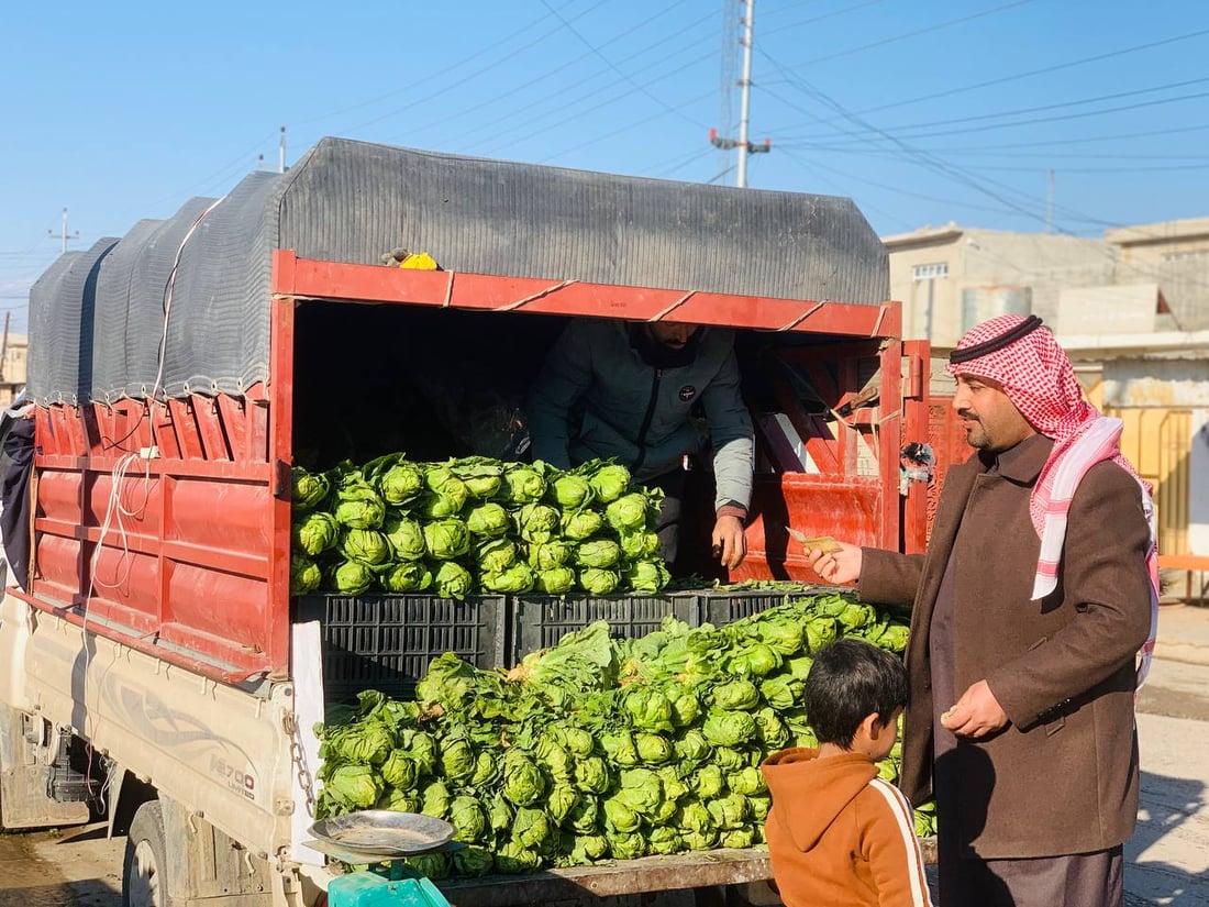 صباح خيرات العراق الطازجة.. آخر أيام الخس وسبهان ينتظر “الركي” (صور)