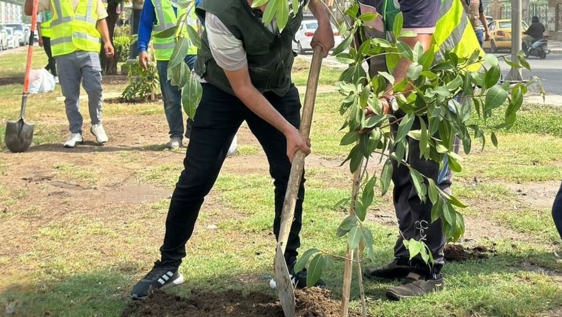 Baghdad Municipality launches ‘Baghdad Plants’ campaign to greenify the city