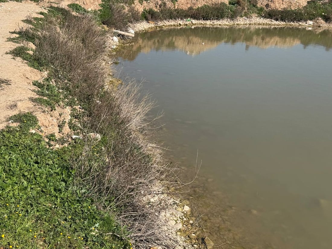 کارەبای حەوزە ماسییەکانی خانەقین بڕاوە و خاوەنەکانیان سەرگەردان بوون