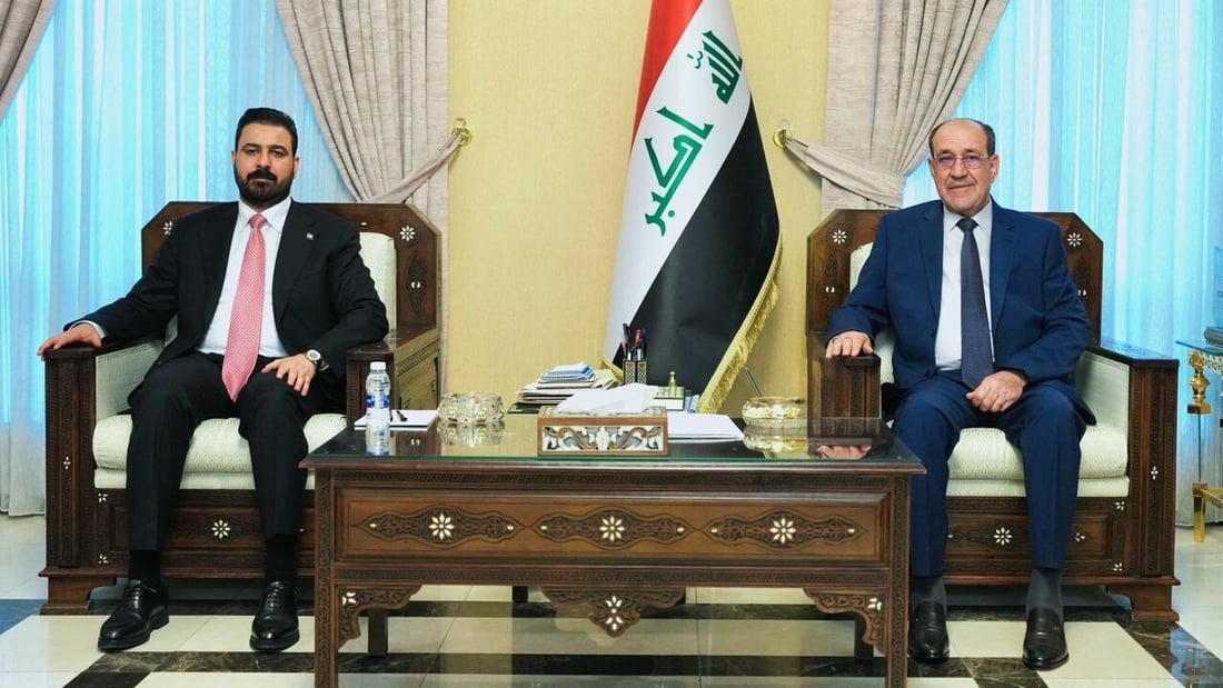 الزيدي والمالكي يبحثان استكمال تشكيل الحكومة