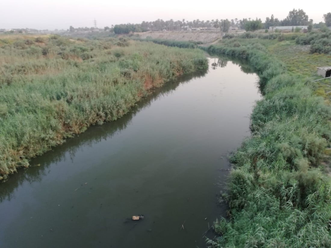 يجمع الخنازير والثعابين والعقارب.. صور من مبزل الولداية “المقلق” شرقي بغداد