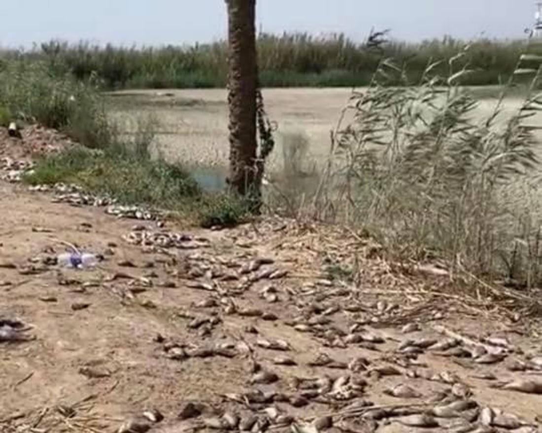 صور: قوة أمنية تردم بحيرات المدائن.. لم تمهل المربين نقل أسماكهم إلى مكان آخر