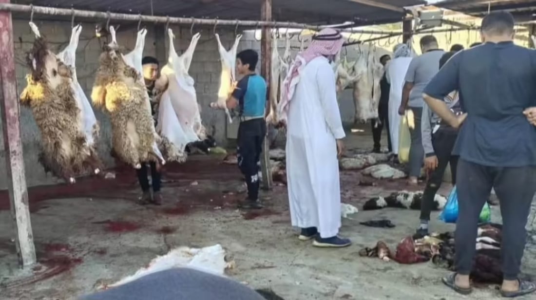 Unregulated slaughters in Dhi Qar pose public health risks