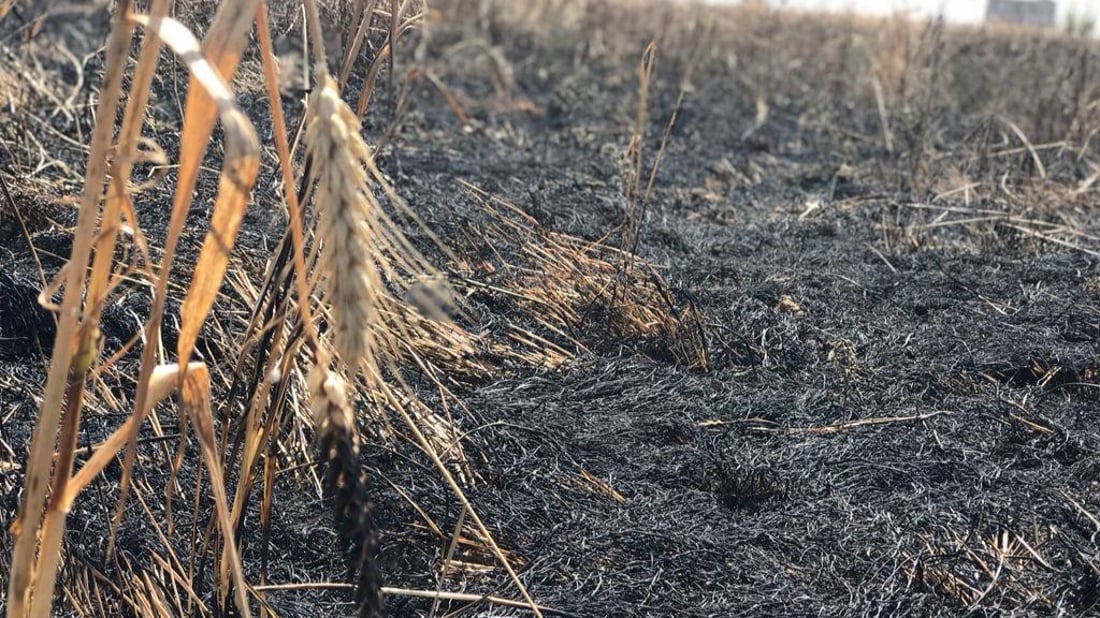 صور: داقوق تخمد 4 حرائق وتنقذ 10 آلاف دونم من محصول الحنطة