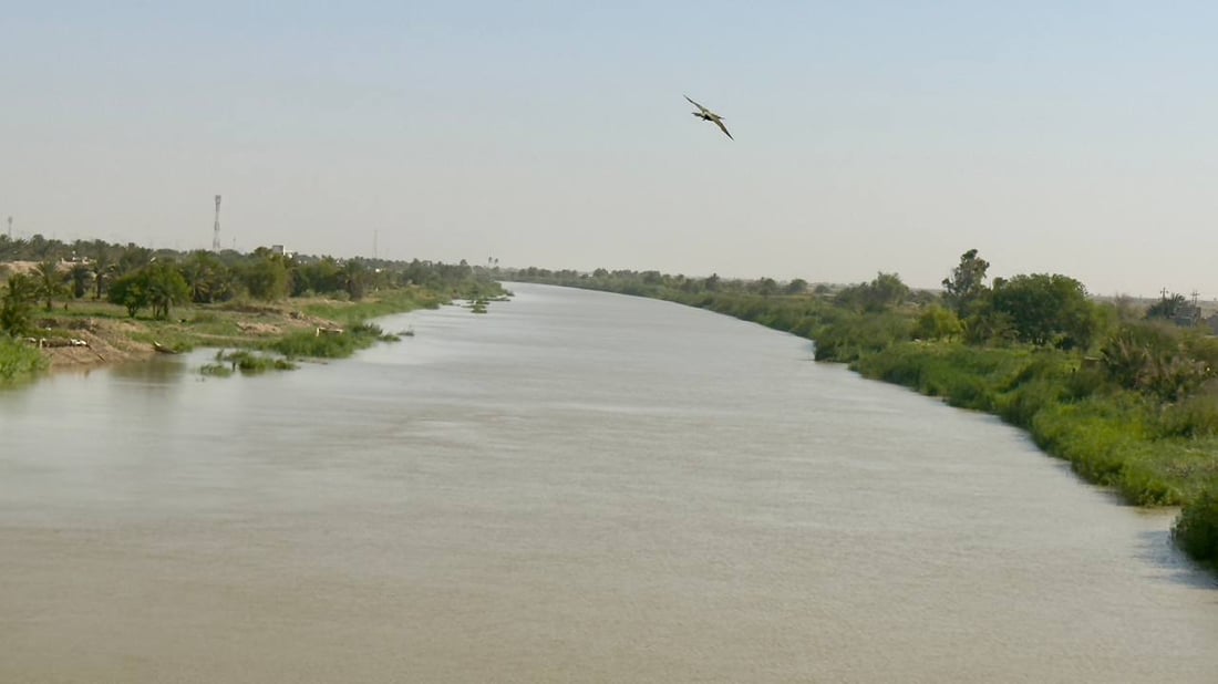 دجلة يستعيد عافيته في القرنة والتوقعات مبشرة (صور)