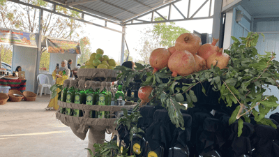 ئینجا نۆرەى هەنارى هەڵەبجەیە