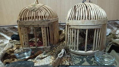 سێ كه‌س له‌ سیته‌ك ده‌ستگیر كران