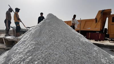 العراق يزرع الملح والخليج يطلب المنتوج.. مشاهد ساحرة من المملحة