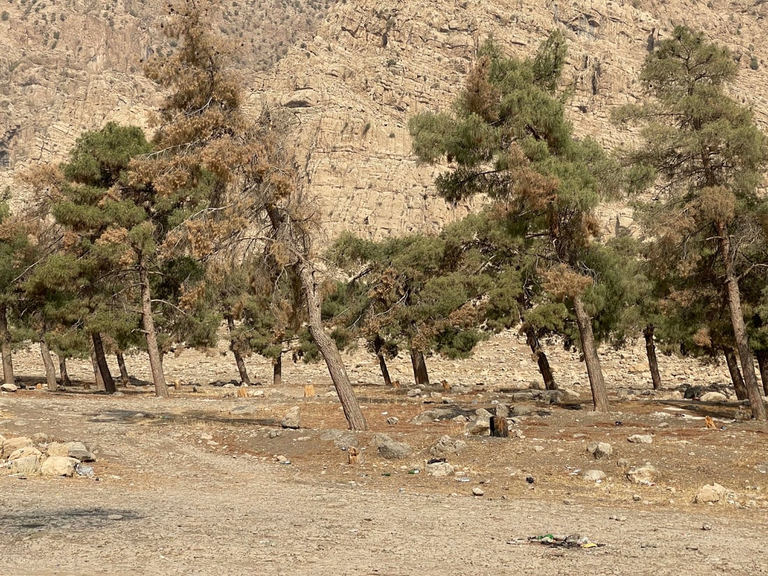 <?php echo get_the_title() ?>