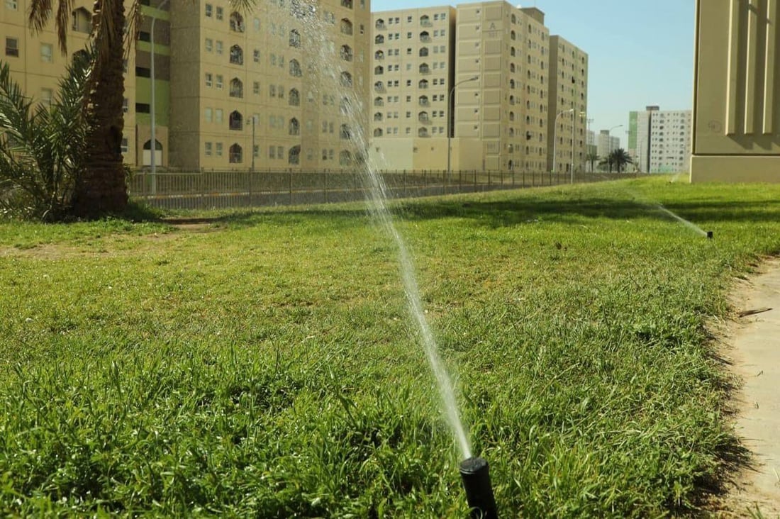 صور: سكان بسماية يزرعون النخيل والثيل قبل الصيف.. “الحياة أجمل الآن”