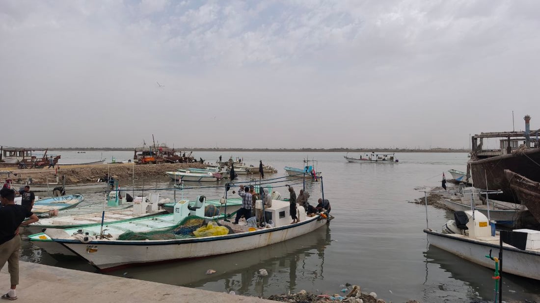 صور من مزاد الفاو الصباحي: زوج الصبور 150 ألف وإن لم يعجبك فالزبيدي بـ40 ألف دينار