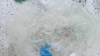 لە سنورى راپەڕین 15 راوچى ماسى دەستگیرکراون