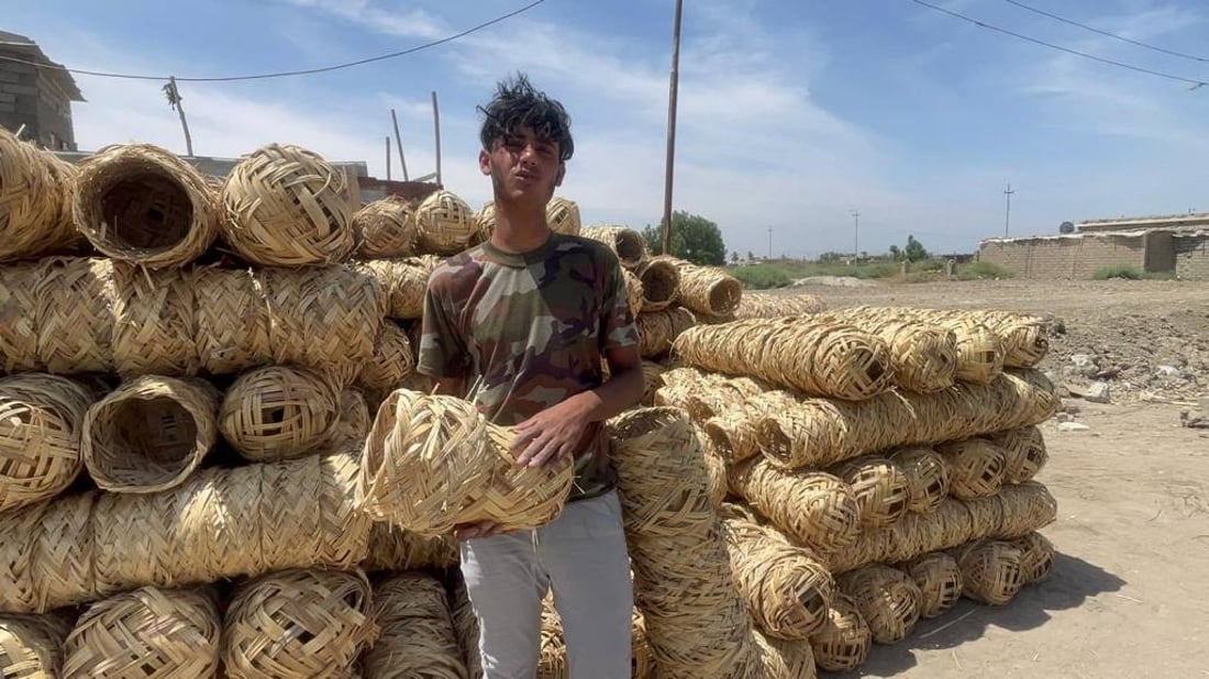 يجب أن تدوسها السيارات.. صور لصناعة أعشاش الطيور في الجبايش من قصب الدلمج الفاخر
