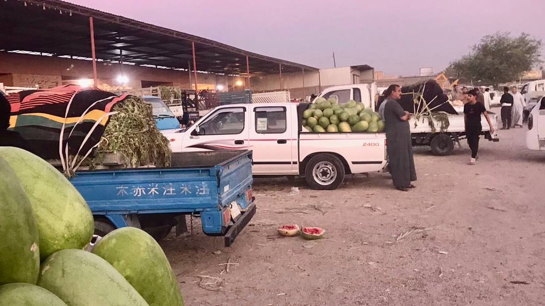زراعة أبو غريب ليست بخير.. أمطار أيار هي السبب وحر حزيران (صور وأسعار)