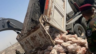 صور: إتلاف 25 طناً من “لية الأغنام” الممنوعة في 3 محافظات