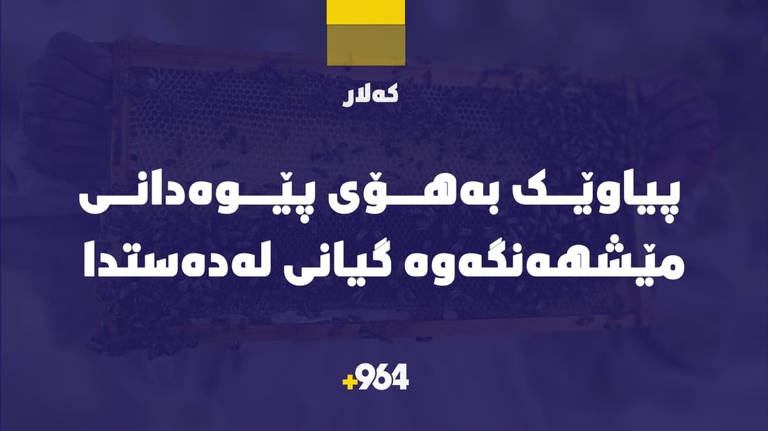 لەکەلار بەهۆی پێوەدانی مێشهەنگەوە پیاوێک گیانی لەدەستدا