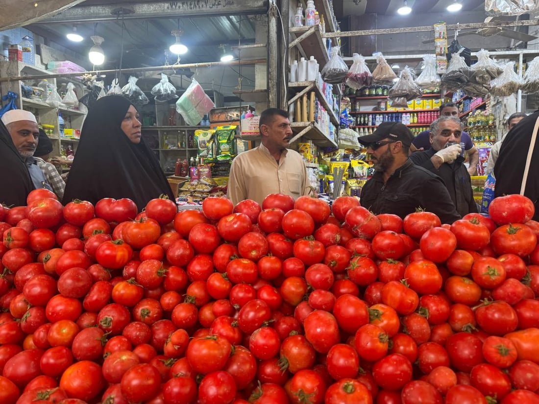 طماطة الزبير تزيح الإيرانية من أسواق البصرة ونداء إلى المنافذ: لا داعي للاستيراد