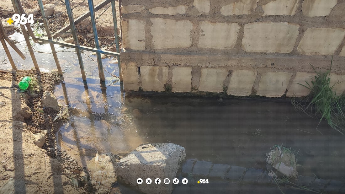 10 ساڵە بۆریی ئاوی چەمچەماڵ لە شکان نەکەوتووە