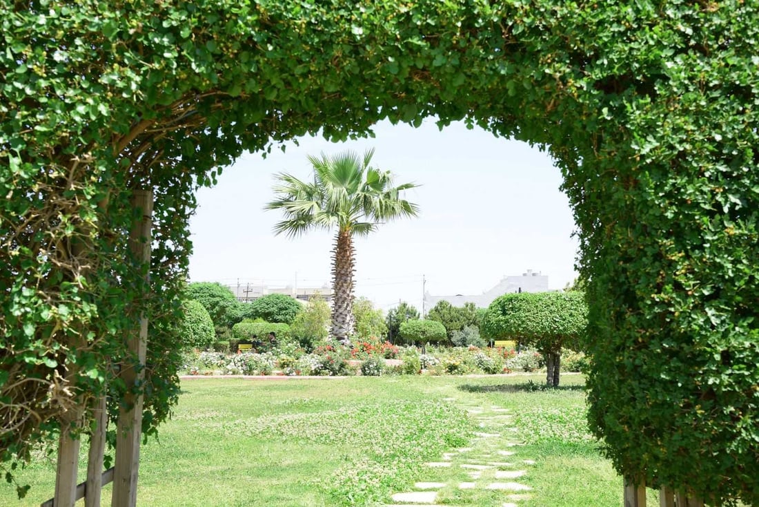 کۆمپانیایەکی فەرەنسی نەمامگەیەکی گەورە دروست دەکات