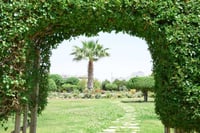 کۆمپانیایەکی فەرەنسی نەمامگەیەکی گەورە دروست دەکات