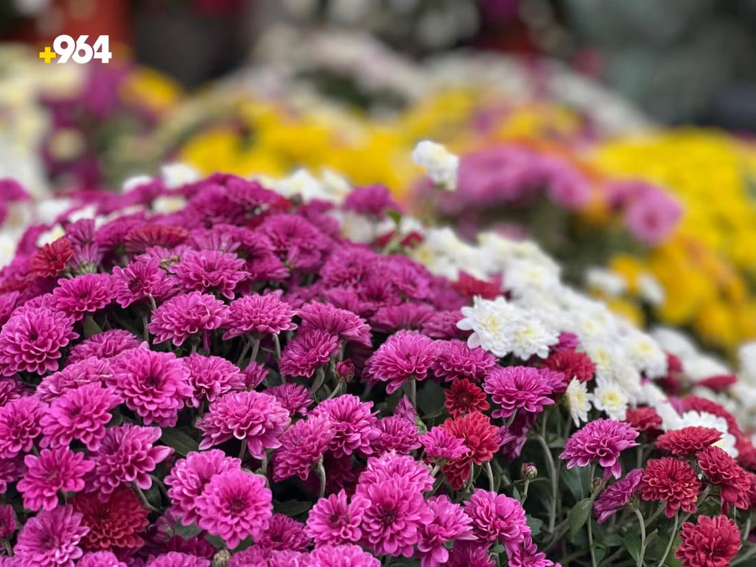 964mediaصورة من منصة (شبكة): 