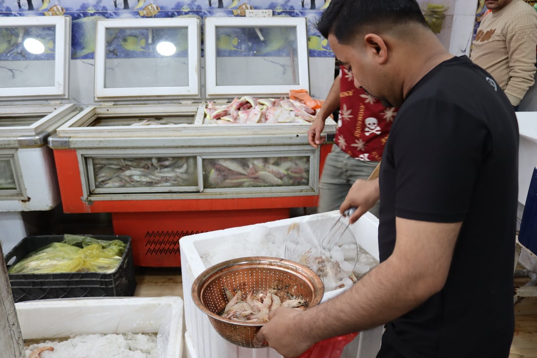 صور: “البغدادي” يبيع أسماك البصرة في باب المعظم.. “نادرة ومقطعة ونظيفة”