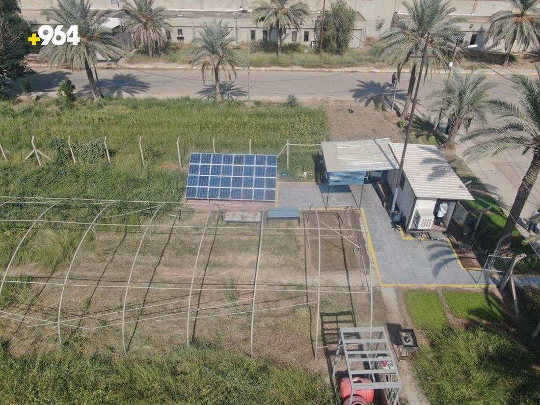 964mediaصورة من منصة (شبكة): 