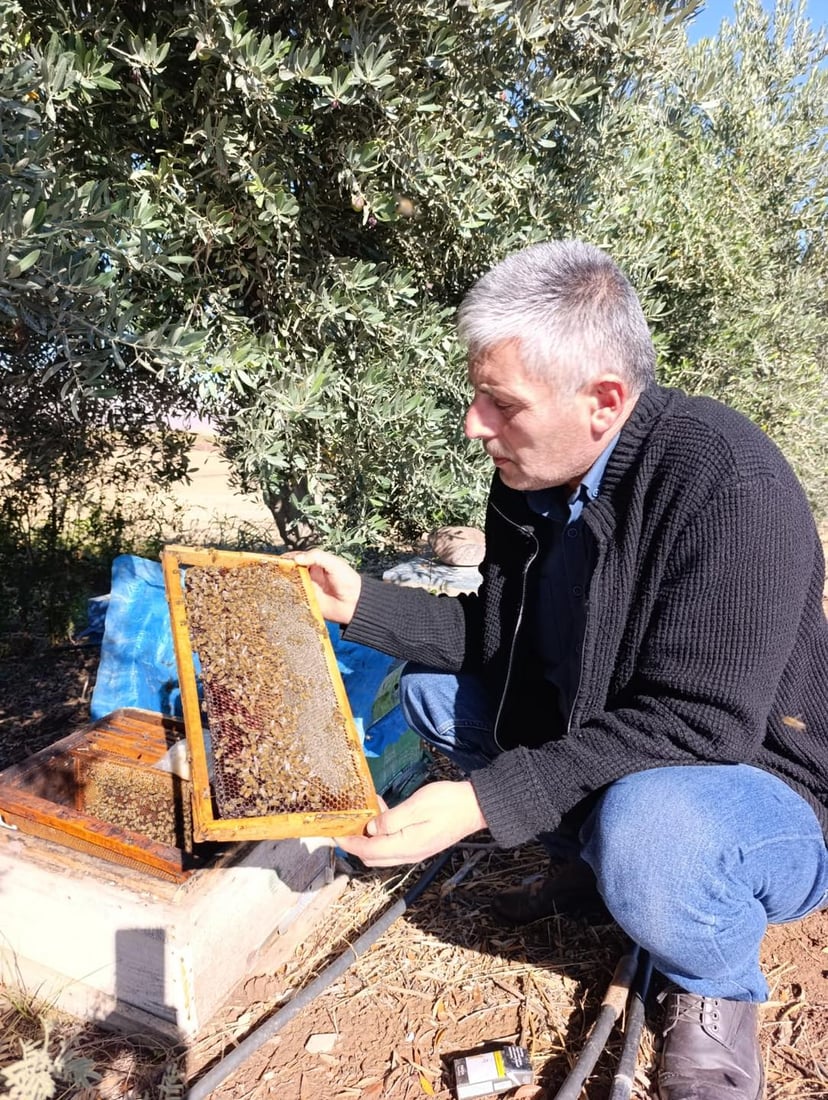 له‌ ئاكرێ سه‌رژمێری بۆ مێش هه‌نگه‌كان ده‌كرێت