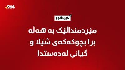 مێردمنداڵێک بە هەڵە برا بچووکەکەی شێلا و گیانی لەدەست دا