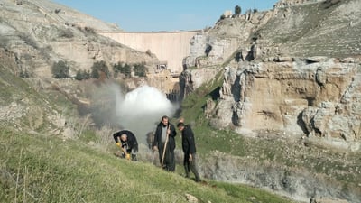 بەڕێوەبەر و فەرمانبەرانی وزەی دوکان نەمامی زەیتوون دەچێنن