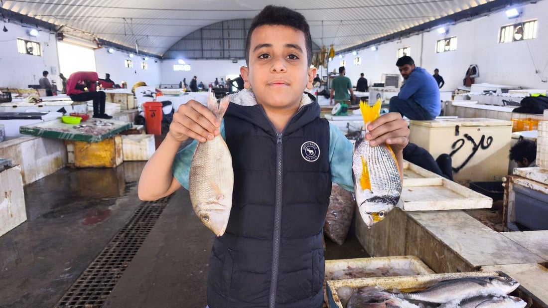 سمكة الضلعة لم تتأثر بالحرب.. 5 أطنان في مرسى النقعة (صور)