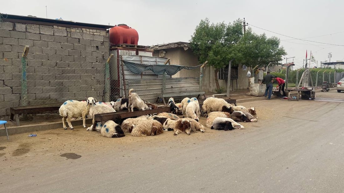 هذا ما يحدث قرب صورة الصدرين في “قطاع 18”.. وهناك من “يحميهم”! (صور)