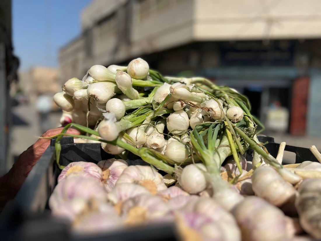 قائمة بالأسعار.. خضروات الأنبار تستفيد من “الأتاوات” على المستورد!