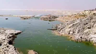 بحر النجف ينتعش بمياه هور الجبسة: خطة لإنقاذ 8 آلاف دونم من الجفاف