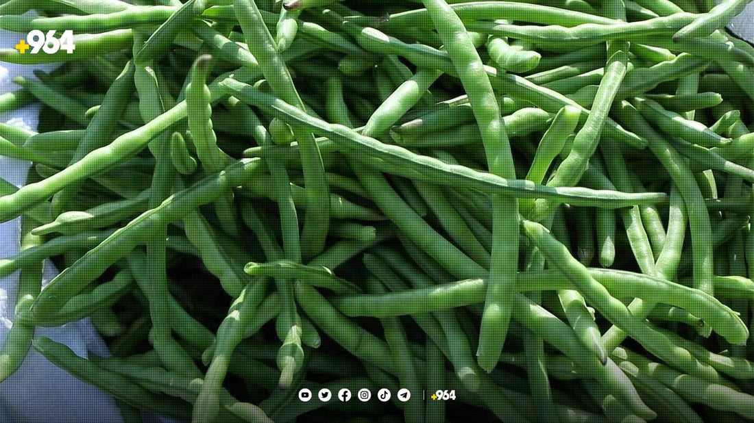 لۆبیای تەقتەق زیادیکردووە و دەڕوات بۆ خوارووی عێراقیش