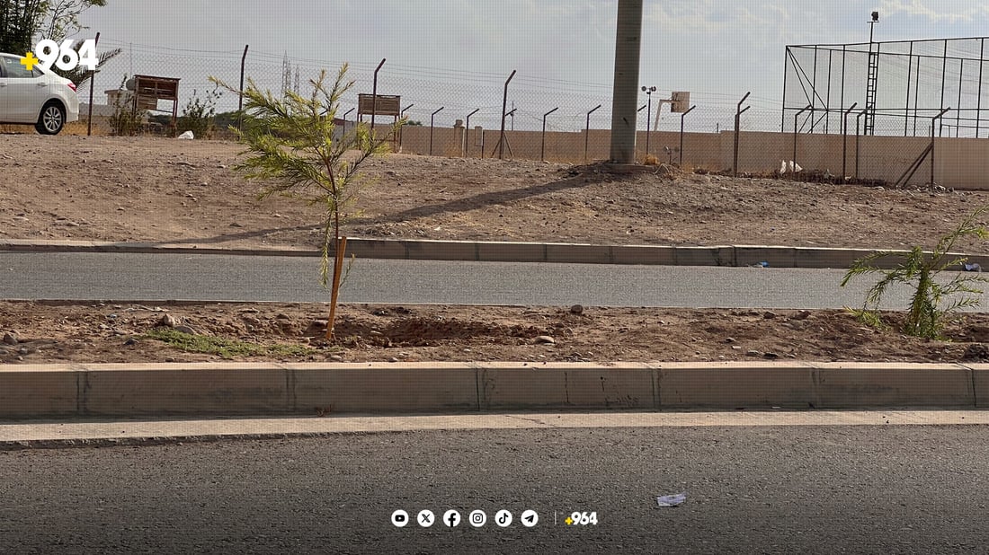 لە شەمامک دەست بەچاندنی حەوت هەزار دار کرا