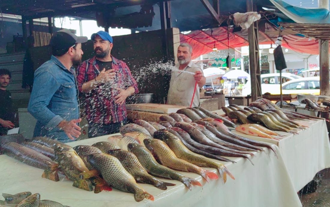 صور: سوق أسماك الموصل الجمعة.. منافسة حامية بين جرّي الناصرية والسمتي المحلي