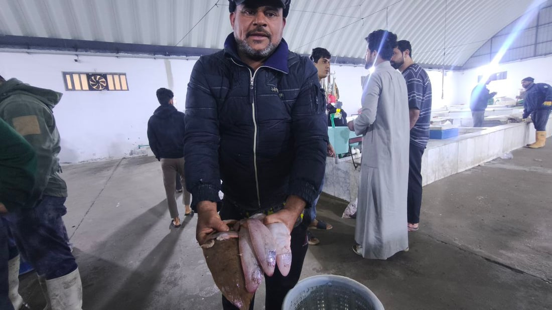 سمك لسان الثور