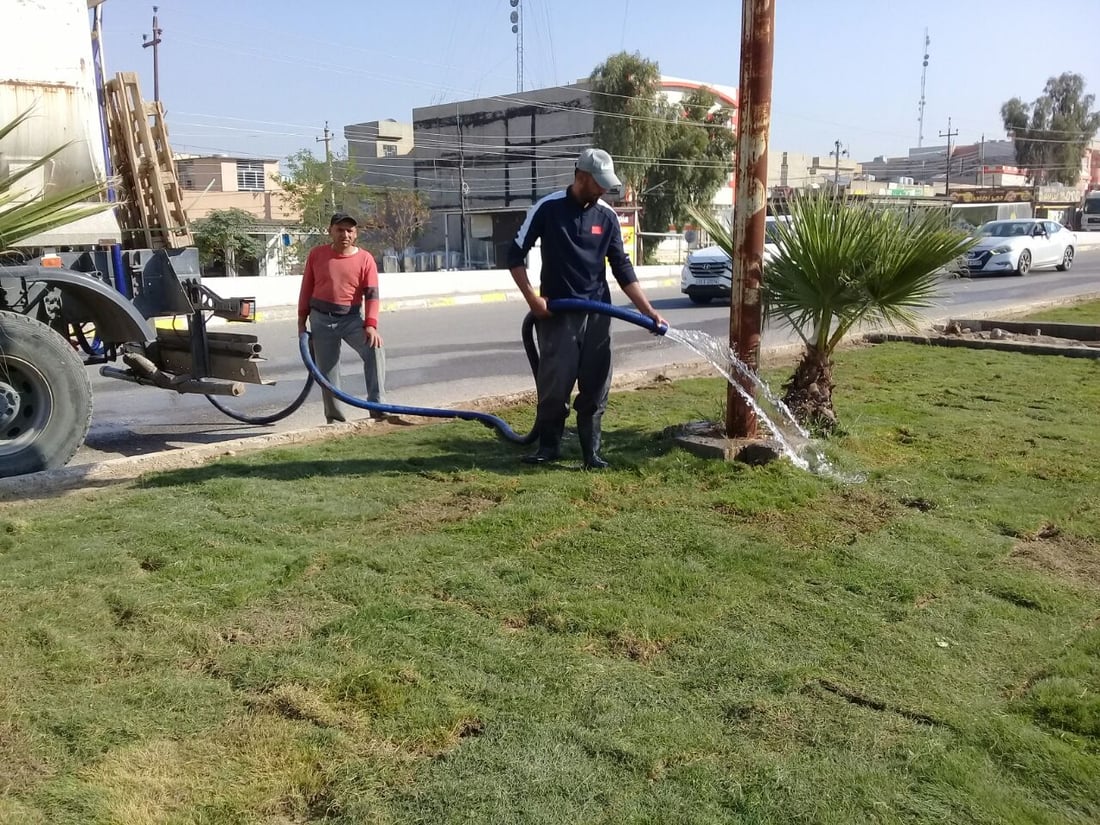 صور: بلدية آلتون كوبري طردت الكلاب السائبة من الجزرة وفرشت “الثيل”